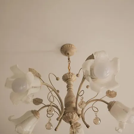 барок * 로베치